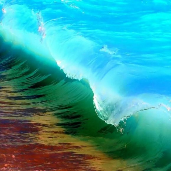 Clearance: Everything Must Go. Make An Offer. Bundle & Save. Buy Now! - Picture 7 of 17